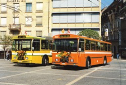 Autobus FBW 202-203